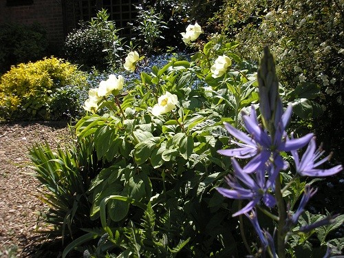 Front border in May