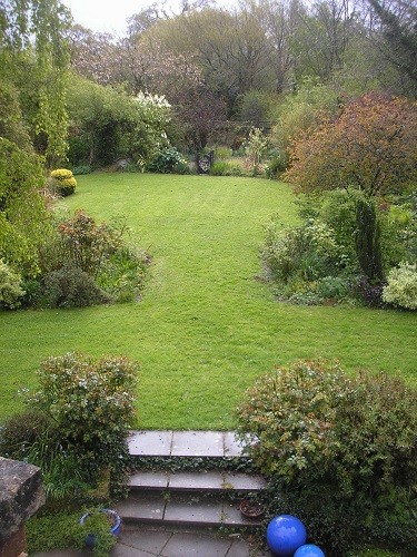 The side garden.