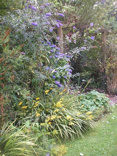 Entrance to the pergola.