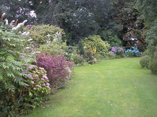 Looking towards the back garden.