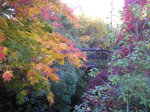 The little bridge at the end is part of a public footpath, so walkers can get a free viewing as they pass through the end of the garden!