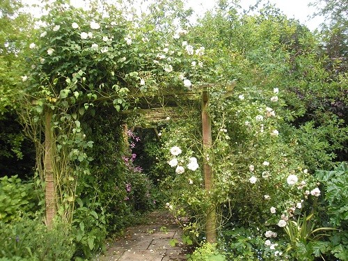 Pergola July