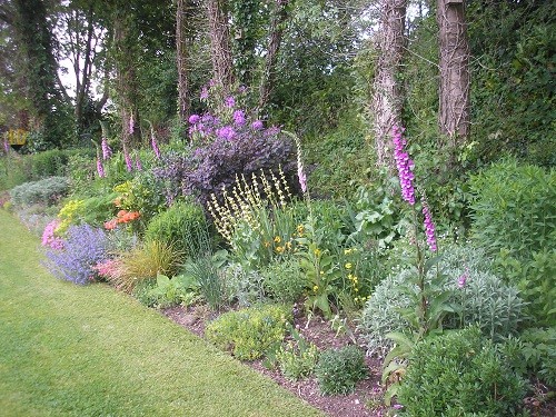 Edge of woodland planting.